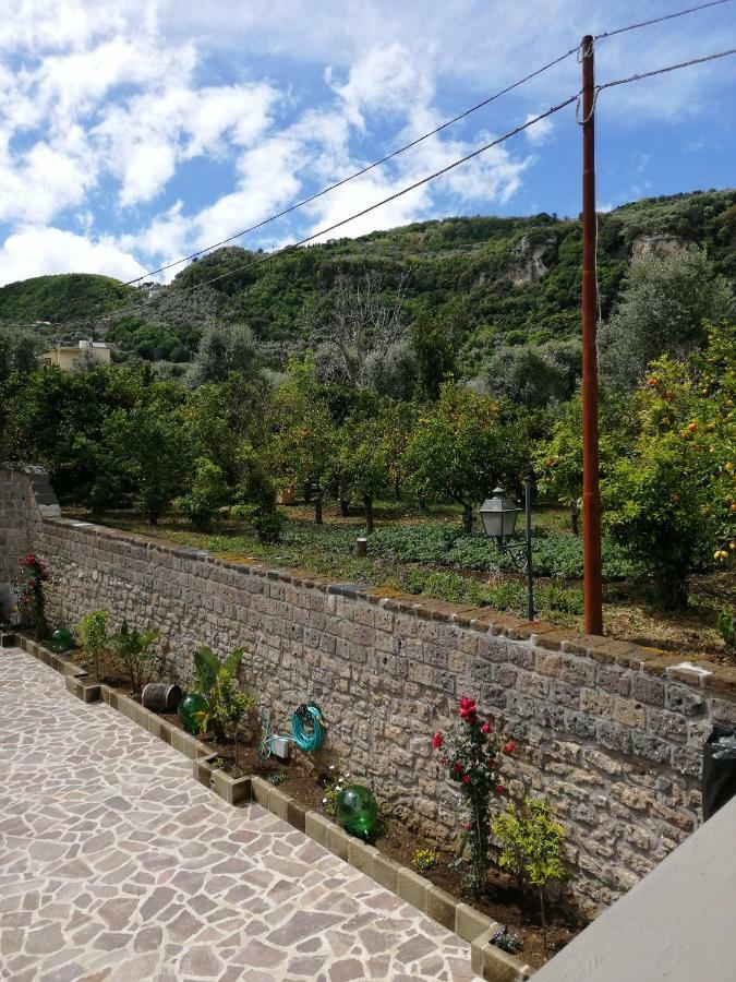 B&B Mario Relais Сорренто Екстер'єр фото
